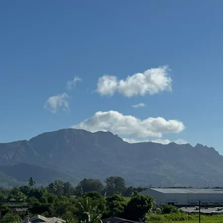 Bula Bliss With Mountain View Apartment Nadi Exterior photo